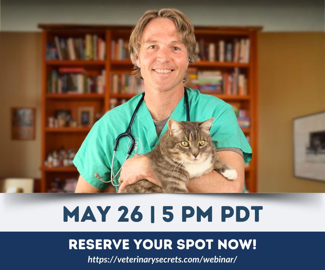 Webinar graphic for Free Cat Health Webinar
